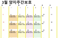 3월 맞춤형 프로그램 계획표